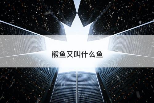 熊鱼又叫什么鱼-图1