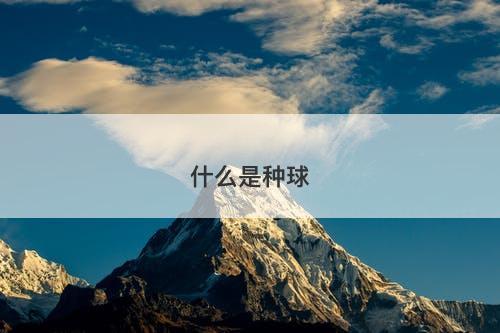 什么是种球-图1