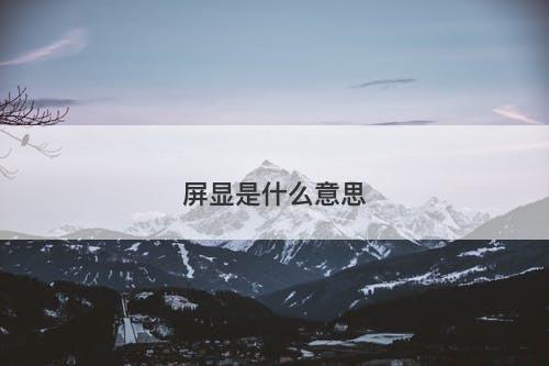 屏显是什么意思-图1