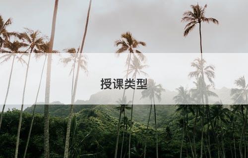 授课类型-图1