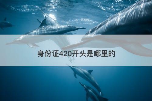 身份证420开头是哪里的