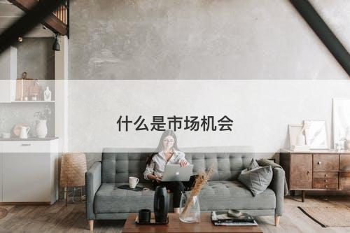 什么是市场机会