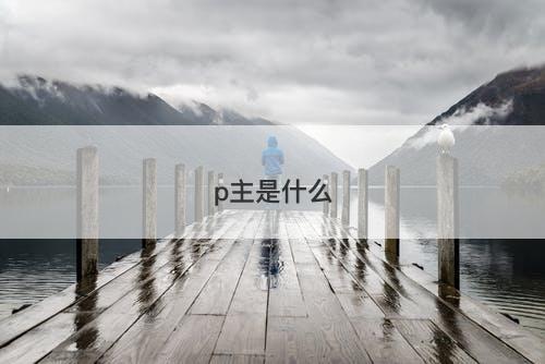 p主是什么