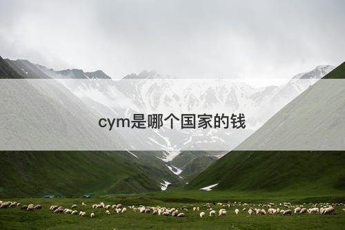 cym是哪个国家的钱