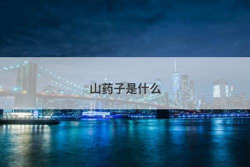 山药子是什么