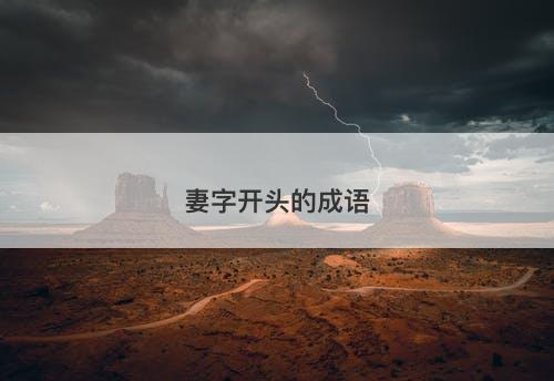 妻字开头的成语