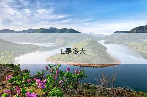 L是多大