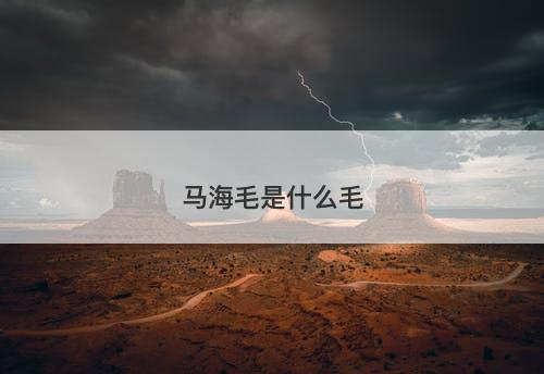 马海毛是什么毛