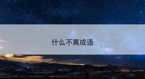 什么不离成语