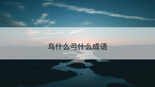 鸟什么弓什么成语
