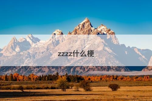 zzzz什么梗
