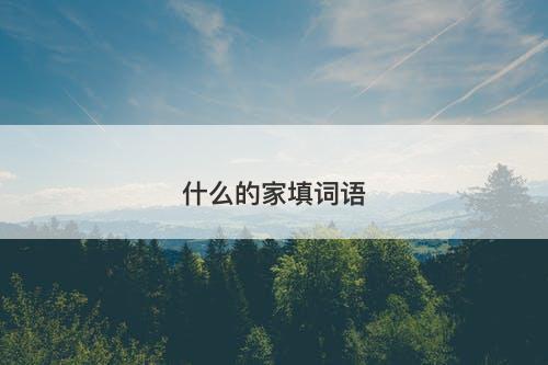 什么的家填词语