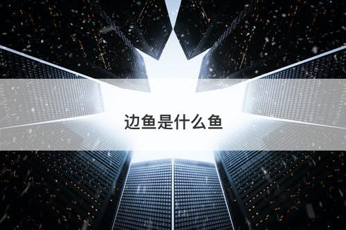边鱼是什么鱼