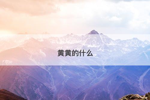黄黄的什么