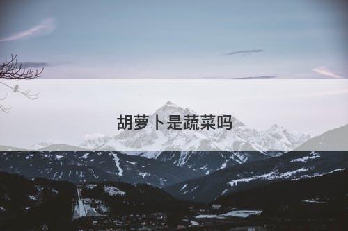 胡萝卜是蔬菜吗