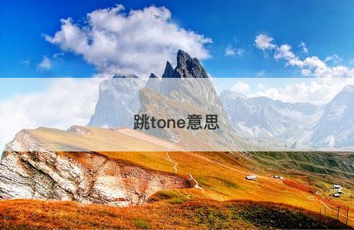 跳tone意思