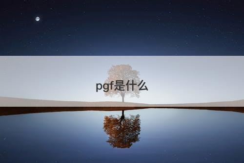 pgf是什么