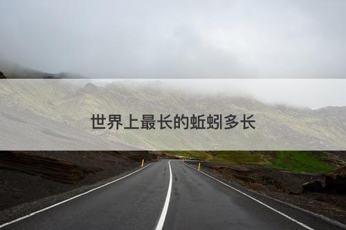 世界上最长的蚯蚓多长