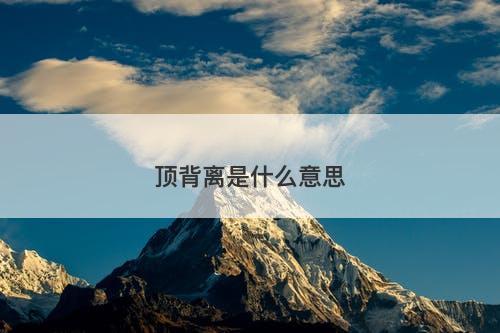 顶背离是什么意思