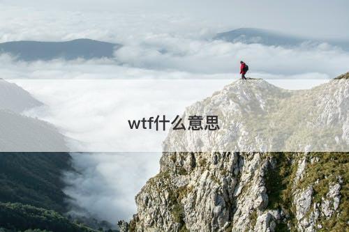 wtf什么意思-图1