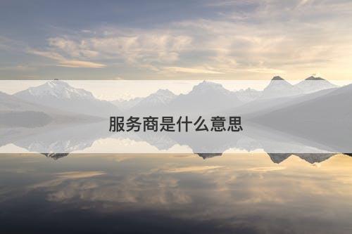 服务商是什么意思-图1
