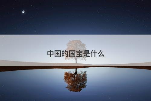 中国的国宝是什么-图1