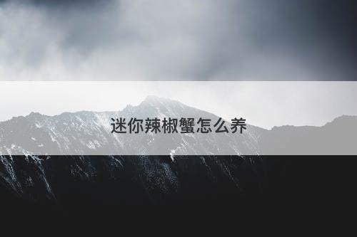 迷你辣椒蟹怎么养-图1