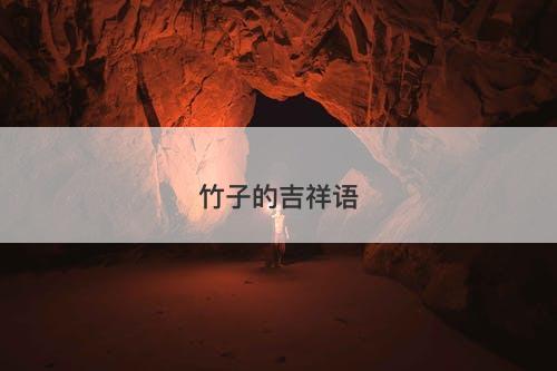 竹子的吉祥语-图1