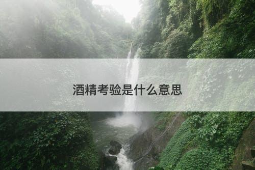 酒精考验是什么意思-图1