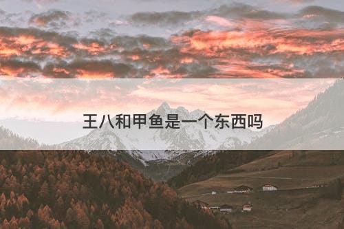 王八和甲鱼是一个东西吗-图1