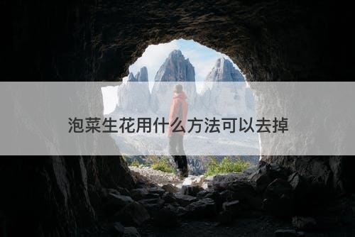 泡菜生花用什么方法可以去掉-图1