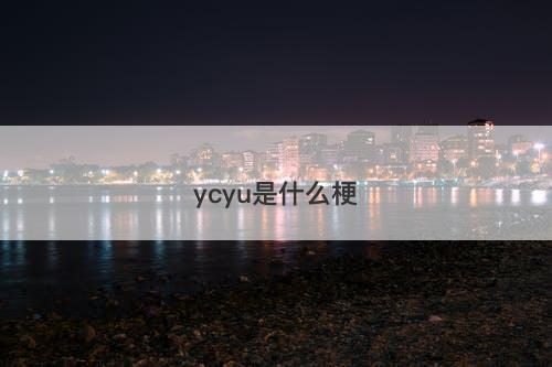 ycyu是什么梗-图1