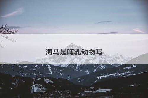 海马是哺乳动物吗-图1