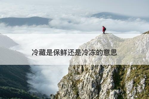 冷藏是保鲜还是冷冻的意思-图1