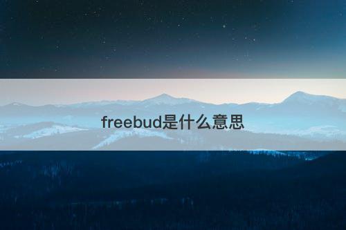 freebud是什么意思-图1