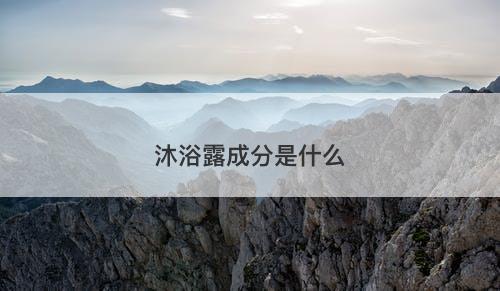 沐浴露成分是什么-图1