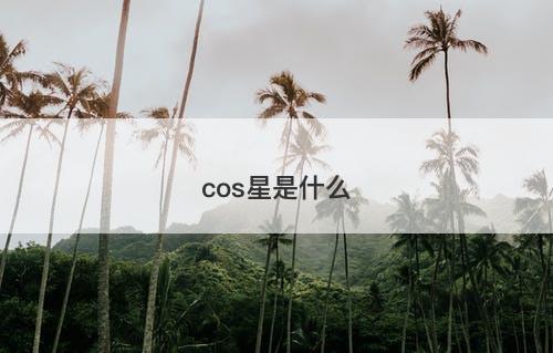 cos星是什么-图1
