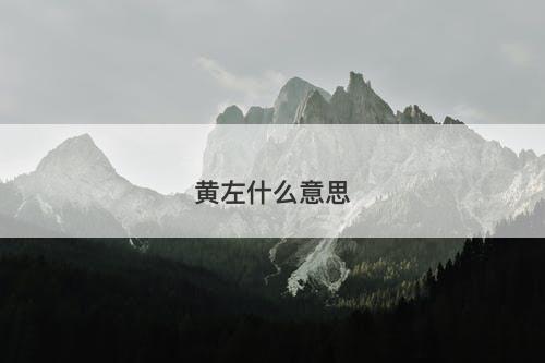 黄左什么意思-图1