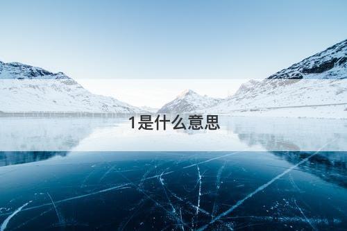 1是什么意思-图1