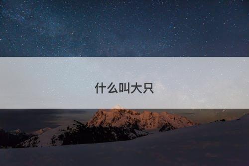 什么叫大只-图1