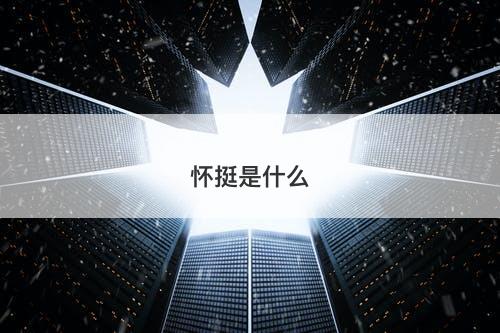 怀挺是什么-图1