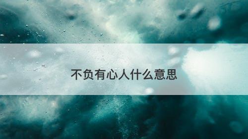 不负有心人什么意思-图1
