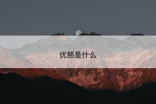 优熊是什么-图1