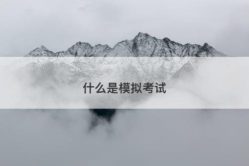 什么是模拟考试-图1