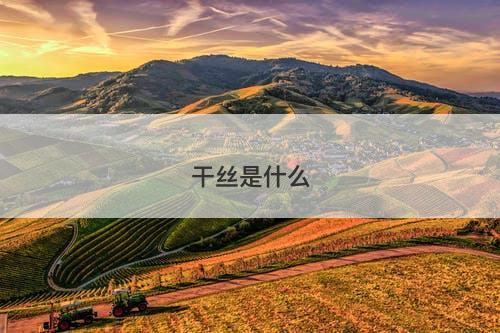 干丝是什么-图1