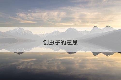 刨虫子的意思-图1
