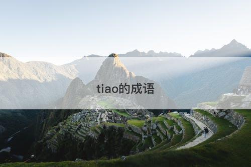 tiao的成语-图1 tiao的成语-图1