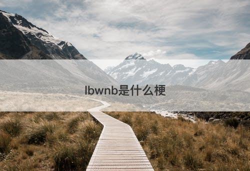 lbwnb是什么梗-图1 lbwnb是什么梗-图1