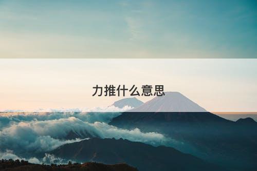 力推什么意思-图1 力推什么意思-图1
