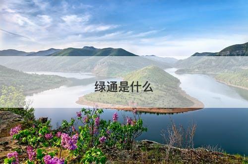 绿通是什么-图1